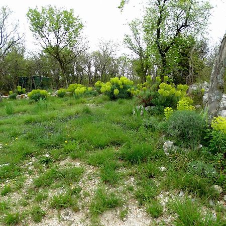Apartments Dumic Crikvenica Zewnętrze zdjęcie