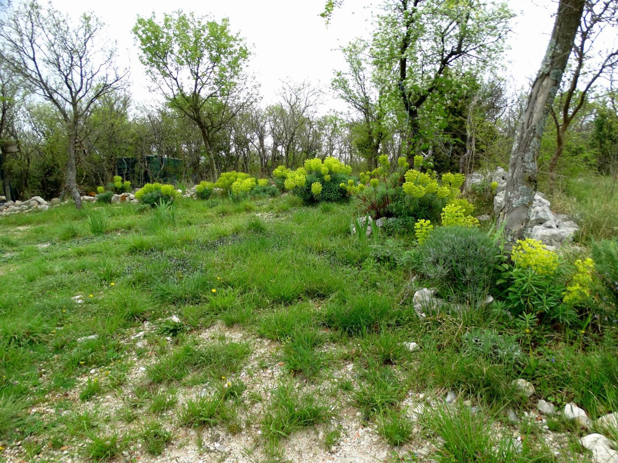Apartments Dumic Crikvenica Zewnętrze zdjęcie