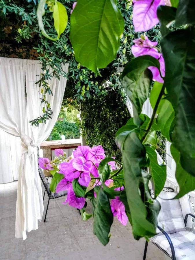 Apartments Dumic Crikvenica Zewnętrze zdjęcie